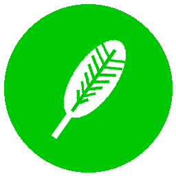 Robinhood Chain logo